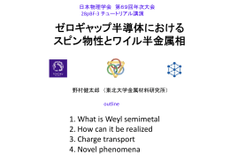 ゼロギャップ半導体における スピン物性とワイル半金属相
