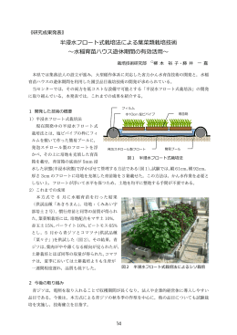 半浸水フロート式栽培法による葉菜類栽培技術 ～水稲育苗