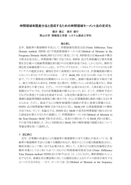 時間領域有限差分法と混成するための時間領域モーメント法の定式化