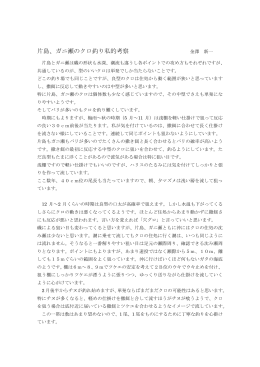 片島、ガニ瀬のクロ釣り私的考察