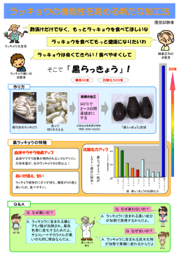 らっきょうの機能性を高める新たな加工法（生物工学研究室） （PDF
