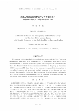 奈良丘陵の大阪層群についての追加資料 縦来の研究との関係を中心に一