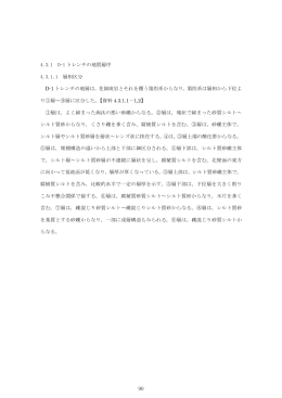 D-1 トレンチの地質層序