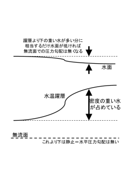 無流面 水温躍層 密度の重い水 が占めている 水面