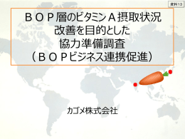 BOP層のビタミンA摂取状況 改善を目的とした 協力準備調査 （BOP