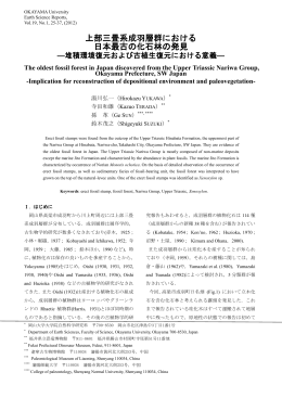 上部三畳系成羽層群における 日本最古の化石林の発見