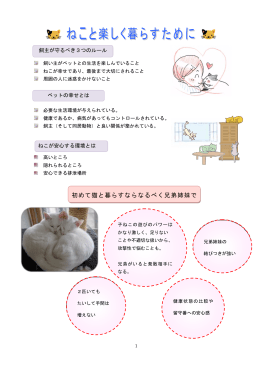 初めて猫と暮らすならなるべく兄弟姉妹で
