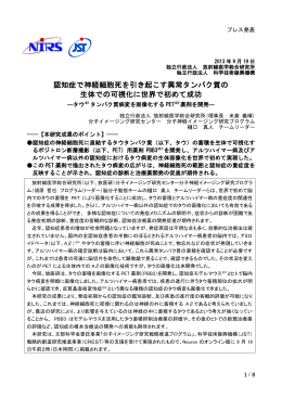 認知症で神経細胞死を引き起こす異常タンパク質の 生体での可視化に