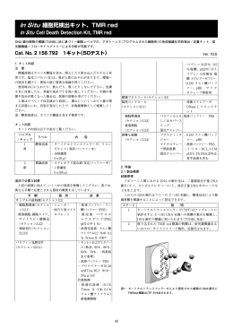 In Situ 細胞死検出キット、TMR red