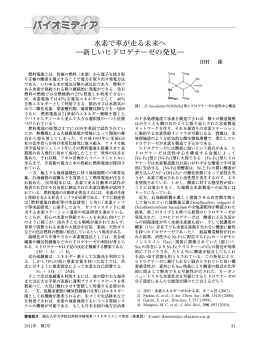 水素で車が走る未来へ ―新しいヒドロゲナーゼの発見―