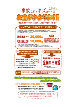 上記金額までがお客様の負担となります 万一借受けたレンタカーで事故