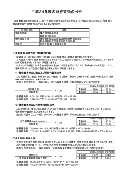 平成24年度の財務書類の分析