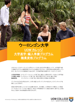内容、期間、英語力条件