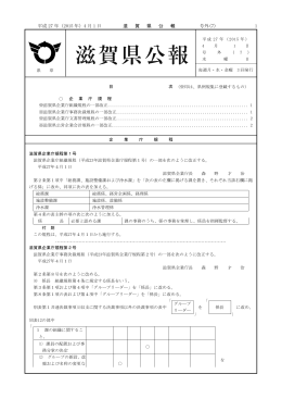 号外(7)（PDF：323KB）