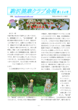自然ふれあいウォーク 自然ふれあいウォーク