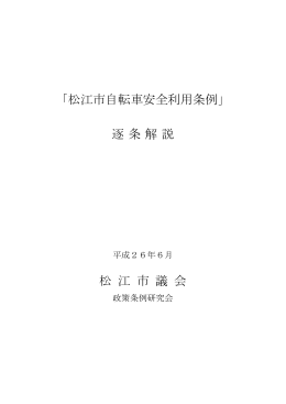 条例の解説（PDF:280KB／11ページ）