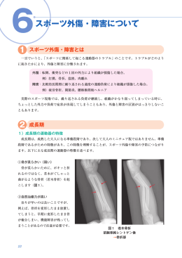 スポーツ外傷・障害について（P22～P30）