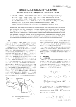 C09-5: 翼端噴出による翼端漏れ渦に関する数値的研究 中村亮太(東