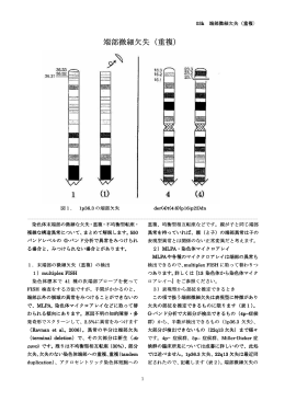端部微細欠失（重複）