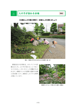 人の手が加わる余地 21