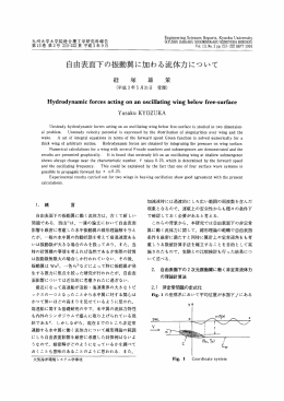 自由表面下の振動異に加わる流体力について