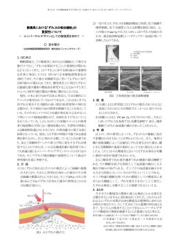 2013/11 第22回 日本睡眠環境学会学術大会 (近畿大学)（pdf）