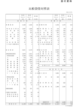 比較貸借対照表