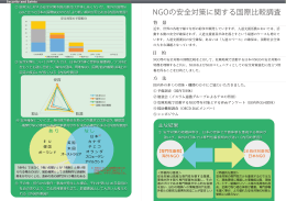NGOの安全対策に関する国際比較調査（PDF）