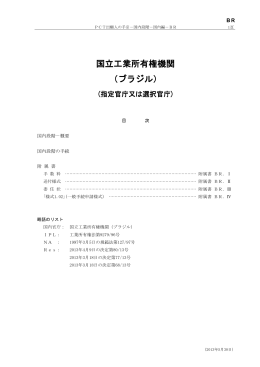 国立工業所有権機関 （ブラジル）