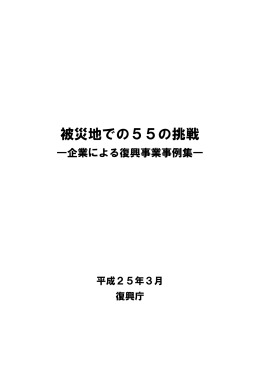 被災地での55の挑戦