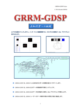 GRRM-GDSP概要