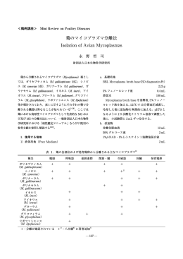 鶏のマイコプラズマ分離法 Isolation of Avian Mycoplasmas