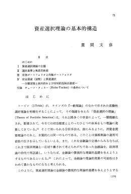 資産選択理論の基本的構造