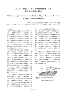 人工ナノ磁性体における表面弾性波による 磁化反転過程の研究