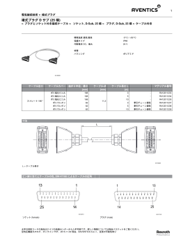 複式プラグ D サブ (25 極)