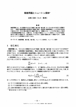 極値問題とニュートン図形