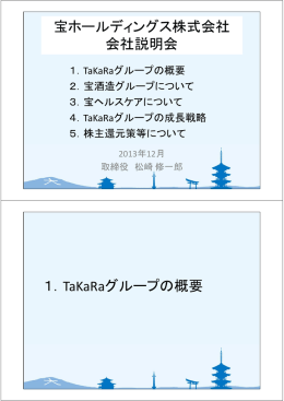 プレゼンテーション資料 - 宝ホールディングス株式会社