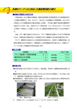 多様なマーケットに対応した農産物供給の確立（PDF：337KB）