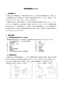特殊容器制度について（印刷用）