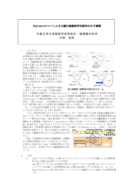 Angiopoietin-1 による心臓の組織恒常性維持の分子機構 大阪大学