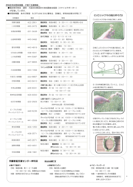 児童家庭支援センター岸和田 《シロツメクサの冠の作り方》