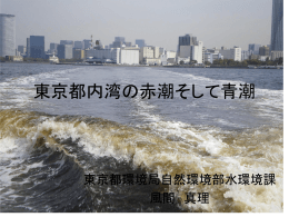 東京都内湾の赤潮そして青潮