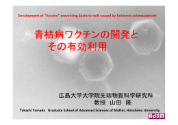 青枯病ワクチンの開発と その有効利用