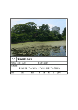 63 青地名残りの城池