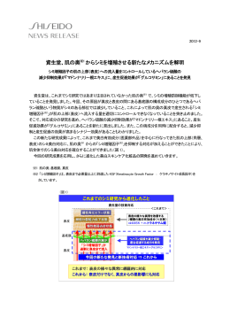 肌の奥からシミを増殖させる新たなメカニズムを解明 ［ PDF：875KB ］