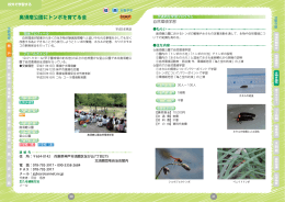 奥須磨公園にトンボを育てる会