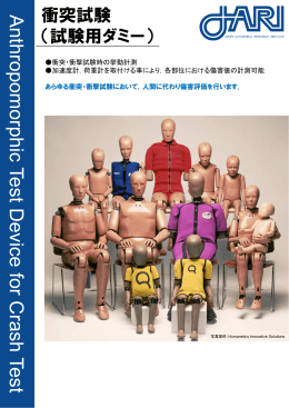 試験用ダミー - 日本自動車研究所