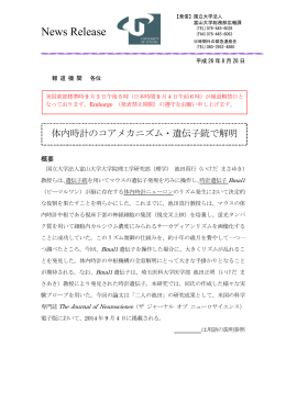 体内時計のコアメカニズム遺伝子銃で解明