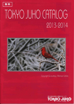 ダウンロードはこちら