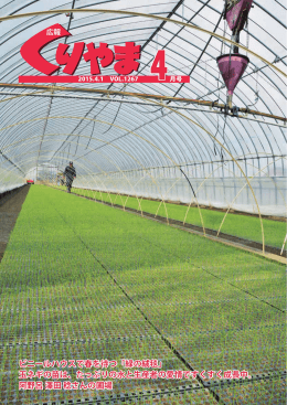 ビニールハウスで春を待つ「緑の絨毯」 玉ネギの苗は、たっぷりの水と